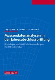 Cover von Massendatenanalysen in der Jahresabschlussprüfung