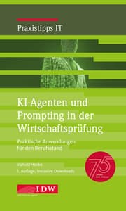 Cover von KI-Agenten und Prompting in der Wirtschaftsprüfung