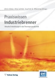 Cover von Praxiswissen Industriebrenner