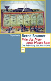 Cover von Wie das Meer nach Hause kam