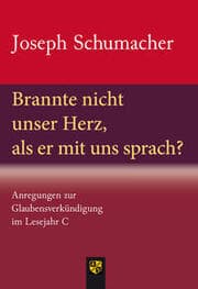 Cover von Brannte nicht unser Herz, als er mit uns sprach?