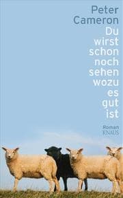 Cover von Du wirst schon noch sehen wozu es gut ist