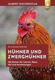 Cover von Hühner und Zwerghühner