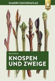 Cover von Knospen und Zweige