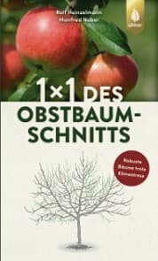 Cover von 1 x 1 des Obstbaumschnitts