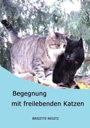 Cover von Begegnung mit freilebenden Katzen
