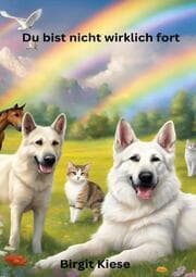 Cover von Du bist nicht wirklich fort
