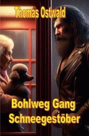 Cover von Bohlweg Gang - Schneegestöber