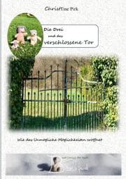 Cover von Die Drei und das verschlossene Tor