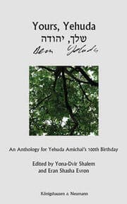 Cover von Yours, Yehuda. Dein, Yehuda