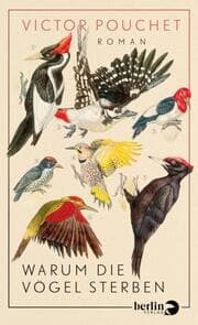 Cover von Warum die Vögel sterben