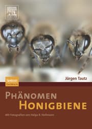 Cover von Phänomen Honigbiene