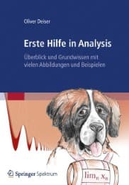 Cover von Erste Hilfe in Analysis