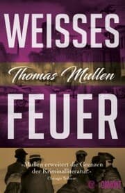 Cover von Weißes Feuer (Darktown 2)