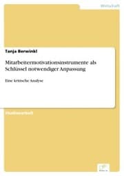 Cover von Mitarbeitermotivationsinstrumente als Schlüssel notwendiger Anpassung