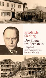 Cover von Die Fliege im Bernstein