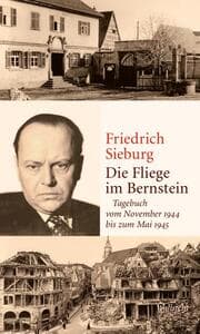 Cover von Die Fliege im Bernstein