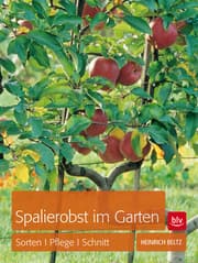Cover von Spalierobst im Garten