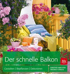 Cover von Der schnelle Balkon