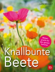 Cover von Knallbunte Beete