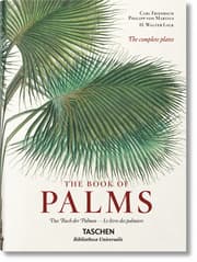 Cover von von Martius. The Book of Palms