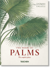 Cover von Martius. The Book of Palms. 45th Ed.