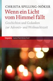 Cover von Wenn ein Licht vom Himmel fällt