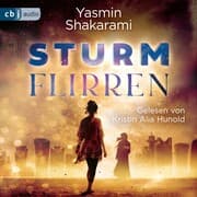 Cover von Sturmflirren