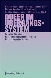 Cover von Queer im Übergangssystem
