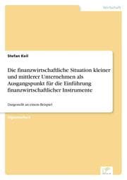 Cover von Die finanzwirtschaftliche Situation kleiner und mittlerer Unternehmen als Ausgangspunkt für die Einführung finanzwirtschaftlicher Instrumente
