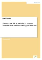 Cover von Kommunale Wirtschaftsförderung am Beispiel der Stadt Brandenburg an der Havel