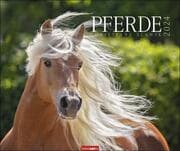 Cover von Pferde 2024