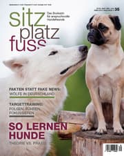 Cover von SitzPlatzFuss 35