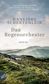 Cover von Das Regenorchester