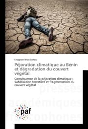 Cover von Péjoration climatique au Bénin et dégradation du couvert végétal