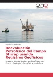 Cover von Reevaluación Petrofísica del Campo Stirrup usando Registros Geofísicos