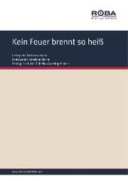 Cover von Kein Feuer brennt so heiß