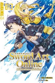 Cover von Sword Art Online - Novel 13