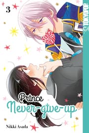 Cover von Prince Never-give-up 03