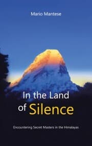 Cover von In the Land of Silence