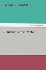 Cover von Romance of the Rabbit