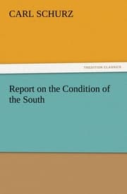 Cover von Report on the Condition of the South