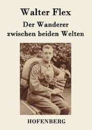 Cover von Der Wanderer zwischen beiden Welten