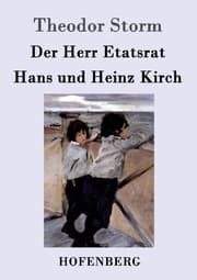 Cover von Der Herr Etatsrat / Hans und Heinz Kirch