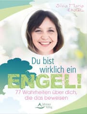 Cover von Du bist wirklich ein Engel!