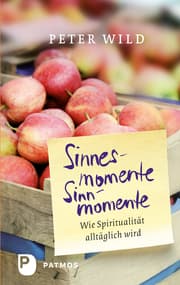Cover von Sinnesmomente - Sinnmomente