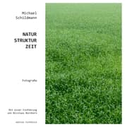 Cover von Natur-Struktur-Zeit