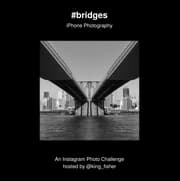 Cover von bridges