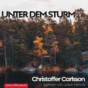 Cover von Unter dem Sturm