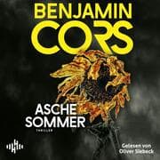 Cover von Aschesommer (Gruppe 4 ermittelt 2)